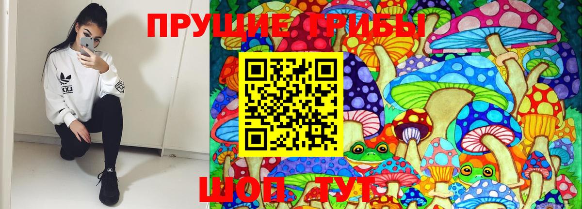 Псилоцибиновые грибы MAGIC MUSHROOMS  Вход с VPN  Шахты 
