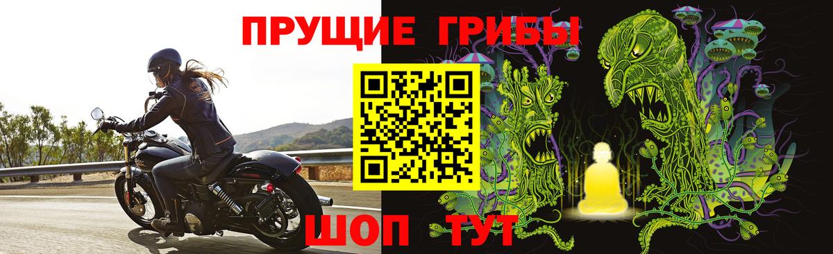 Псилоцибиновые грибы прущие грибы Шахты